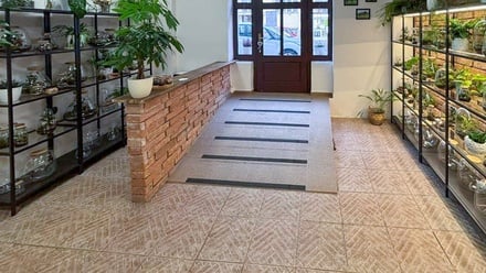 Prodej obchodního prostoru 47 m², Praha 7