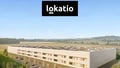 Pronájem skladu 10 000 m², Brno-Chrlice