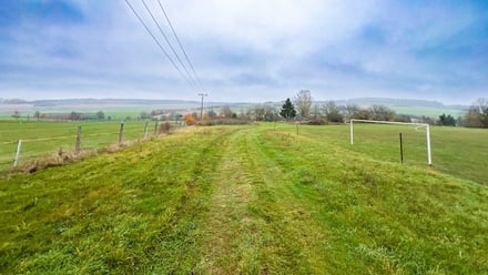 Prodej stavebního pozemku 2 911 m², Roupov