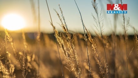 Prodej stavebního pozemku 758 m², Nová Ves