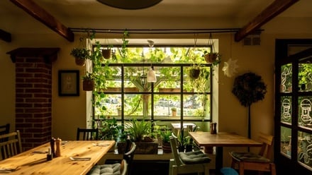 Pronájem restaurace 320 m², Protivín