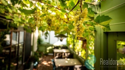 Pronájem restaurace 320 m², Protivín