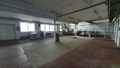 Prodej výrobního prostoru 7 316 m², Nížkov