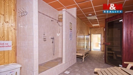 Pronájem obchodního prostoru 222 m², Orlová