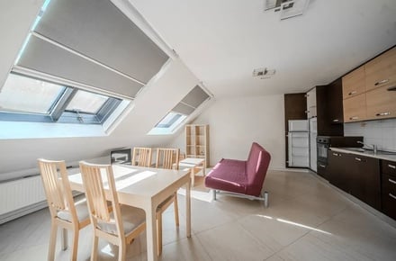 Pronájem bytu 2+kk 52 m², Praha 3, Žižkov