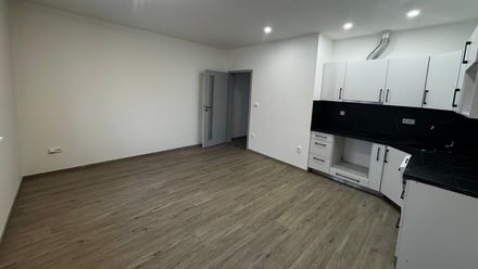 Pronájem bytu 2+kk 44 m², Plaňany