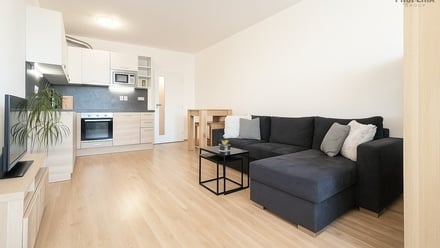 Prodej bytu 1+kk 45 m², Brno