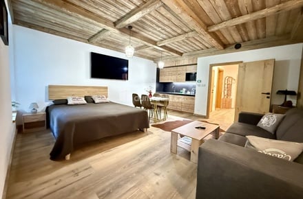 Prodej bytu 2+kk 69 m², Harrachov