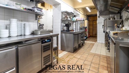 Pronájem restaurace 349 m², Brno - Veveří