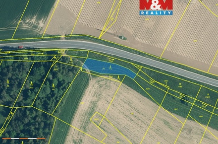 Prodej lesa 711 m², Malý Bor
