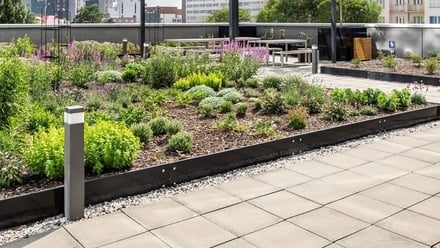 Pronájem kanceláře 7 500 m², Praha 7