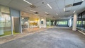 Pronájem kanceláře 1 000 m², Brno - Královo Pole