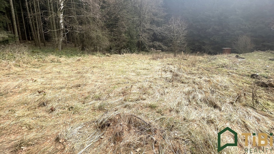 Prodej pozemky pro bydlení, 1 753 m² - Gruna - Žipotín