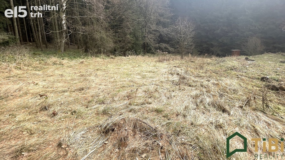 Prodej pozemky pro bydlení, 1 753 m² - Gruna - Žipotín