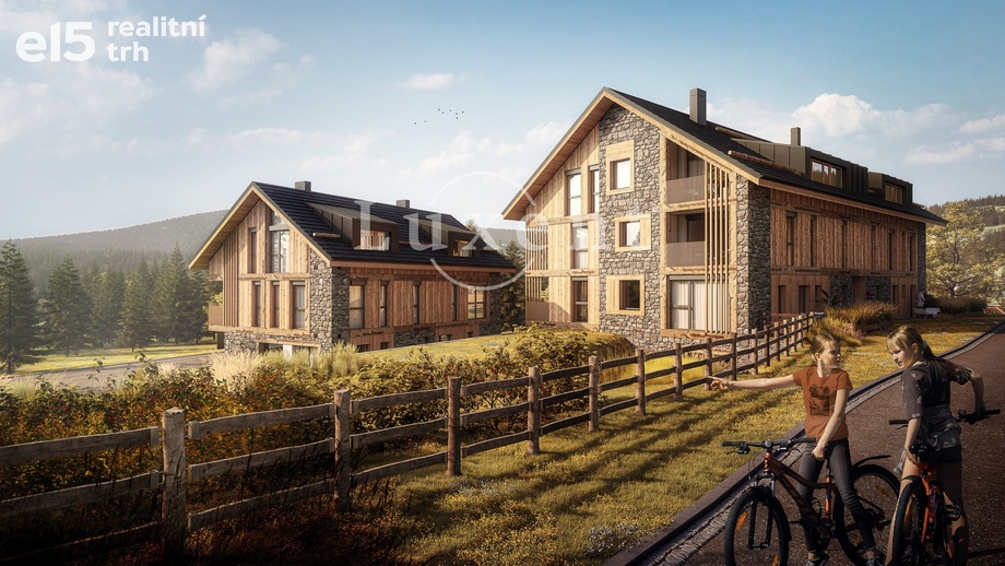 Prodej bytu 1+kk 61 m², Prášily