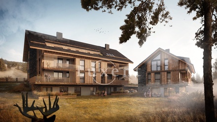 Prodej bytu 1+kk 49 m², Prášily