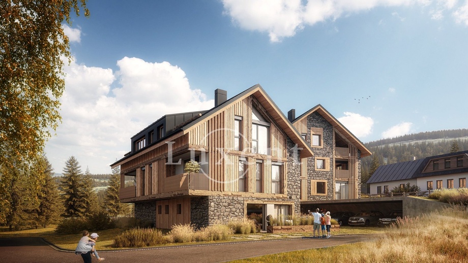 Prodej byty 1+kk, 58 m² - Prášily