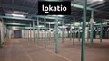 Pronájem skladu 1 279 m², Hradec Králové - Březhrad