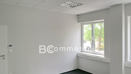 Pronájem kanceláře 240 m², Brno - Brněnské Ivanovice