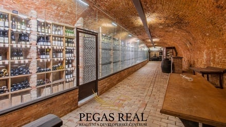 Prodej restaurace 1 133 m², Brno - Staré Brno