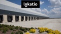 Pronájem skladu 6 552 m², Přehýšov