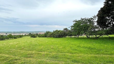 Prodej pole 7 045 m², Nový Šaldorf-Sedlešovice