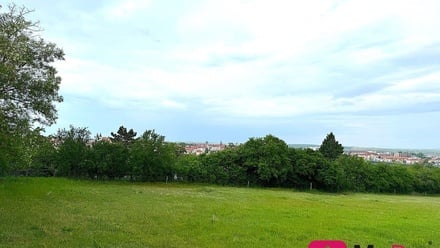 Prodej pole 7 045 m², Nový Šaldorf-Sedlešovice