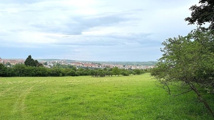 Prodej pole 7 045 m², Nový Šaldorf-Sedlešovice