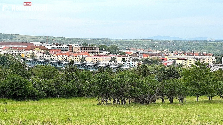 Prodej pole 7 045 m², Nový Šaldorf-Sedlešovice