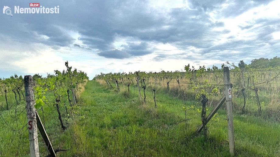 Prodej sadu / vinice 7 500 m², Nový Šaldorf-Sedlešovice - Nový Šaldorf