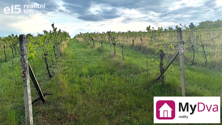 Prodej sady a vinice, 7 500 m² - Nový Šaldorf-Sedlešovice - Nový Šaldorf
