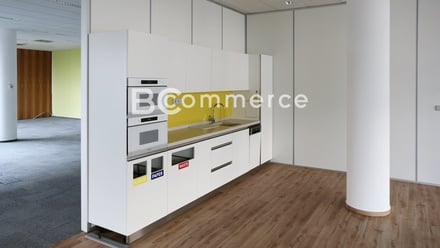 Pronájem kanceláře 400 m², Brno - Královo Pole