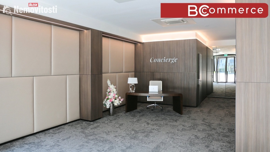 Pronájem kanceláře 200 m², Brno - Staré Brno