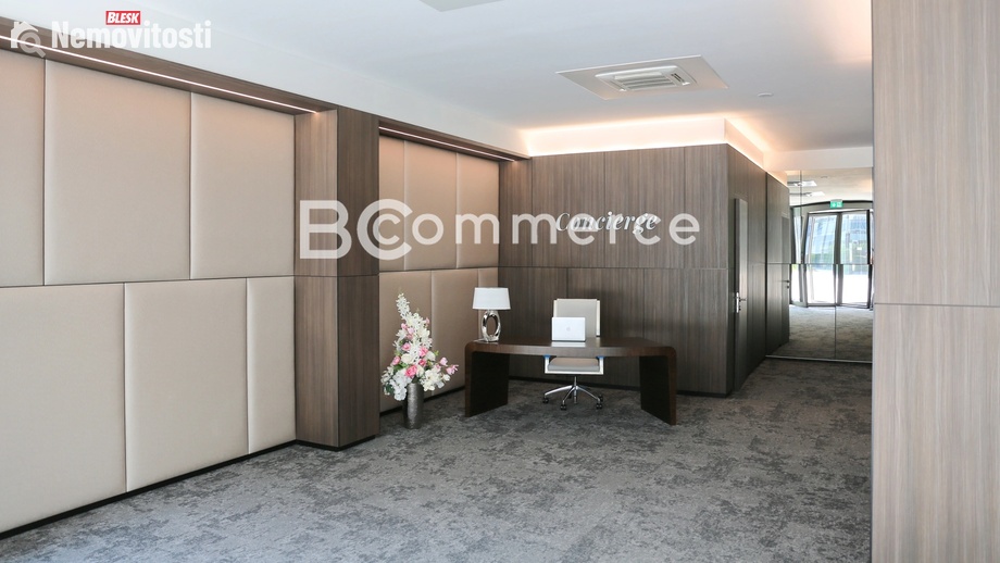 Pronájem kanceláře 200 m², Brno - Staré Brno