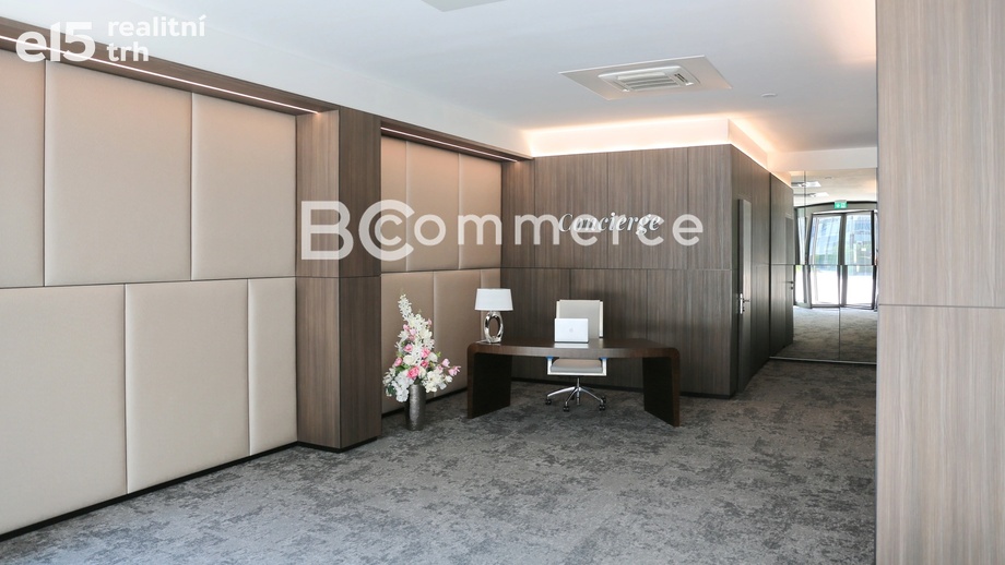 Pronájem kanceláře 200 m², Brno - Staré Brno