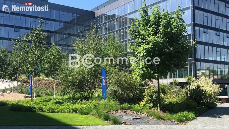 Pronájem kanceláře 350 m², Brno