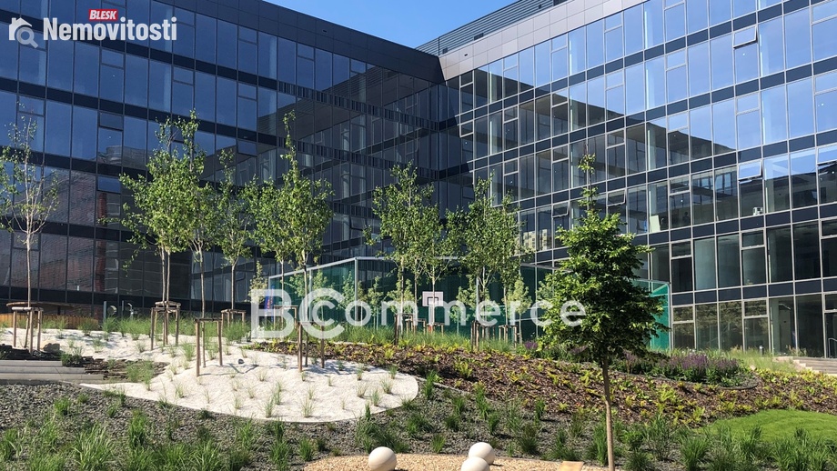 Pronájem kanceláře 500 m², Brno - Starý Lískovec