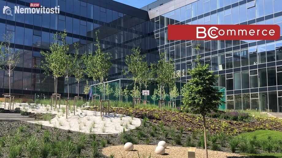 Pronájem kanceláře 500 m², Brno - Starý Lískovec
