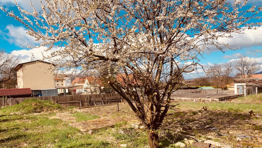 Prodej pozemky pro bydlení, 997 m² - Slavětín