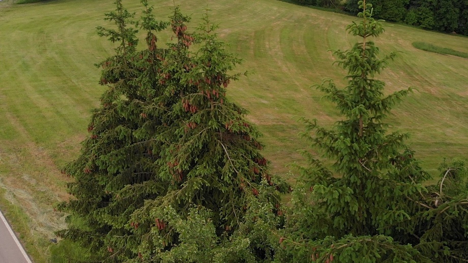 Prodej pozemky pro bydlení, 2 968 m² - Slaná - Hořensko