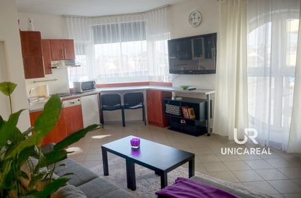 Pronájem bytu 1+kk 33 m², Brno - Židenice