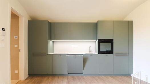 Pronájem bytu 1+kk 59 m², Praha 4, Nusle