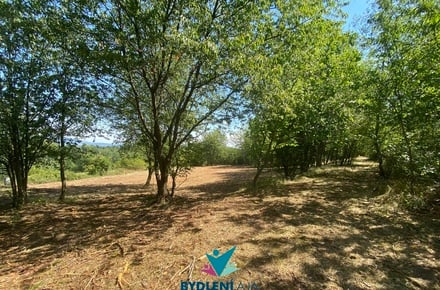 Prodej stavebního pozemku 1 674 m², Chabařovice - Roudníky