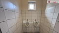 Prodej restaurace 230 m², Dasnice