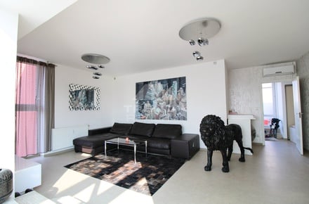 Pronájem bytu 3+kk 250 m², Plzeň - Jižní Předměstí