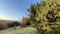 Prodej chaty 40 m², Křtiny