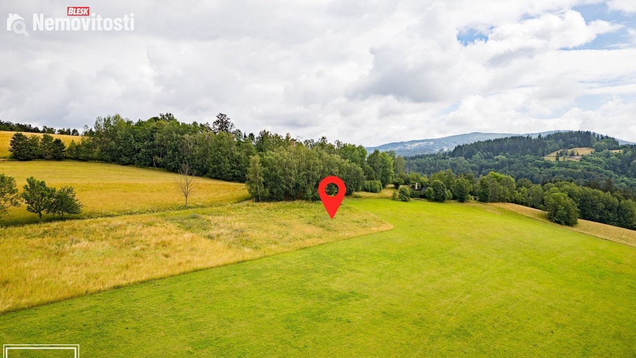 Prodej louky 991 m², Víchová nad Jizerou