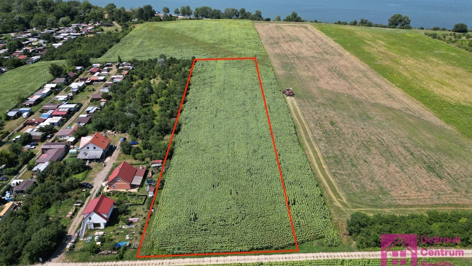 Prodej stavebního pozemku 9 500 m², Přítluky - Nové Mlýny