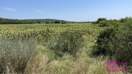 Prodej pole 17 804 m², Přítluky - Nové Mlýny