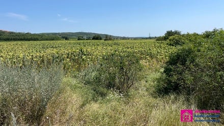 Prodej pole 17 804 m², Přítluky - Nové Mlýny